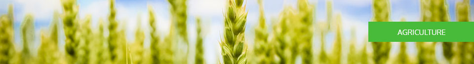 agriculture-banner